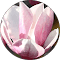 Profil Google